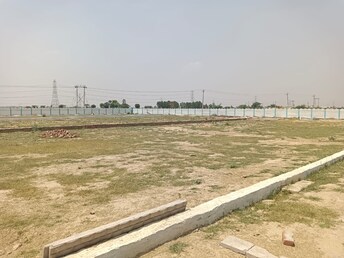 Plot For Resale in Nagli Village Noida  8011142