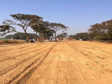 Plot Area in  Plot at Banthra Sikander Pur – for Sale