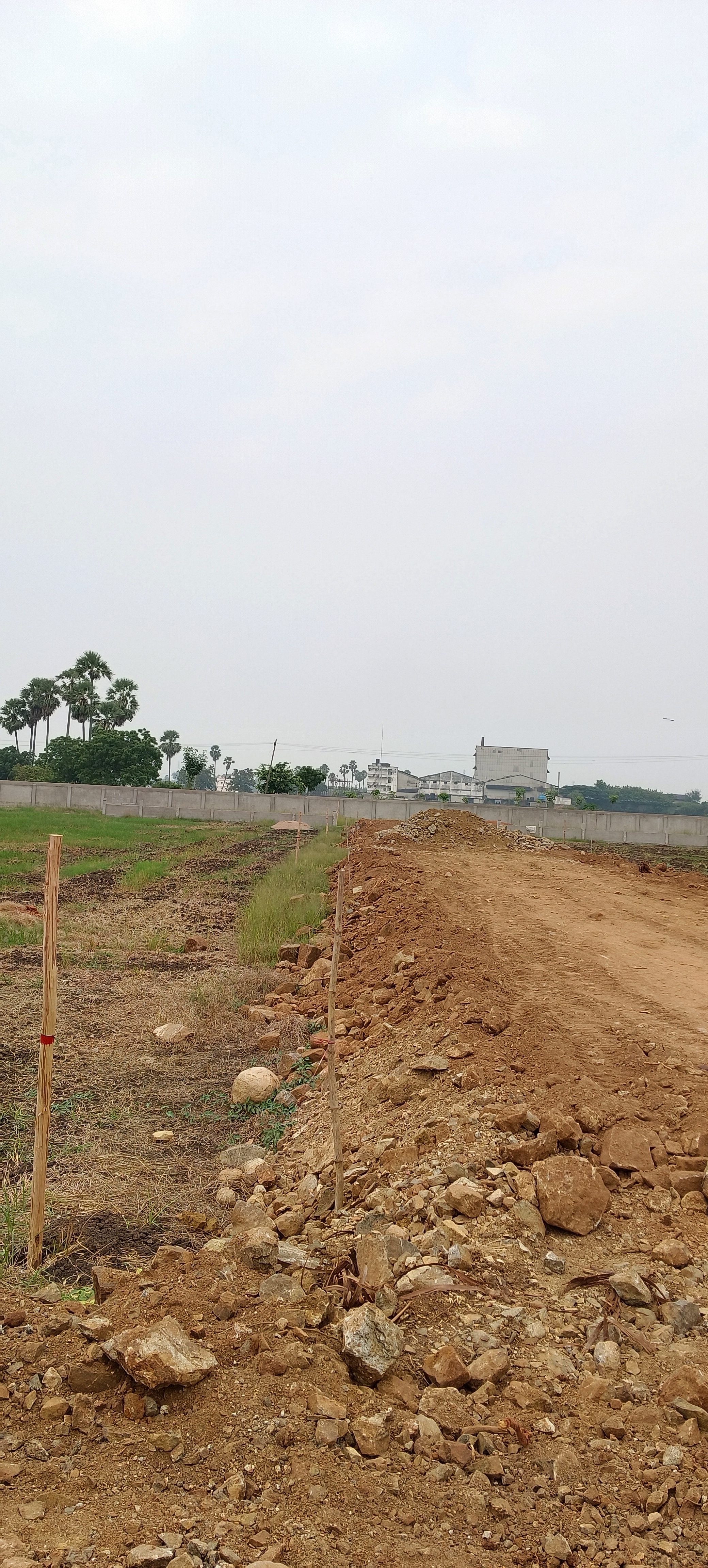 Plot For Sale in Sreenidhi 