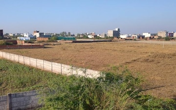 Plot For Sale in Faridipur