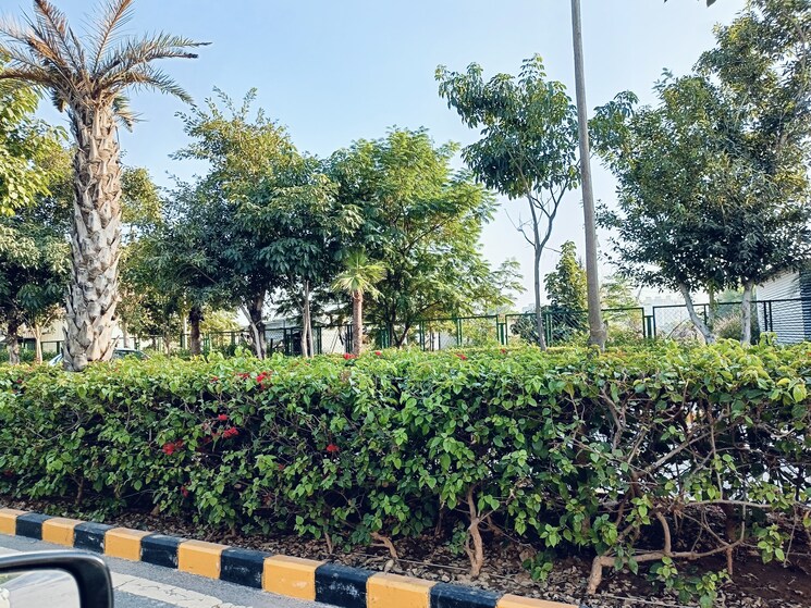 Garden, puri-aman-vilas 3 Bedroom 1550 Sq.Ft. Villa In Sector 89 Faridabad 8011625