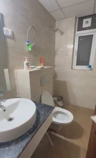 3 BHK Builder Floor For Rent in Sector 51 Chandigarh  8011825