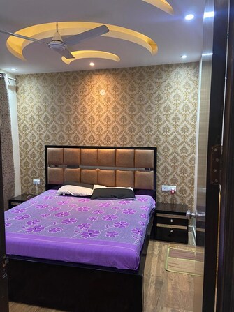 3 BHK Builder Floor For Rent in Abul Fazal Enclave Delhi  8011841