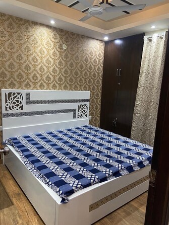 3 BHK Builder Floor For Rent in Abul Fazal Enclave Delhi  8011841