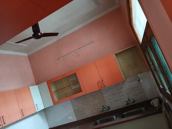 2.5 BHK Builder Floor For Rent in Sector 14 Hisar  8012095