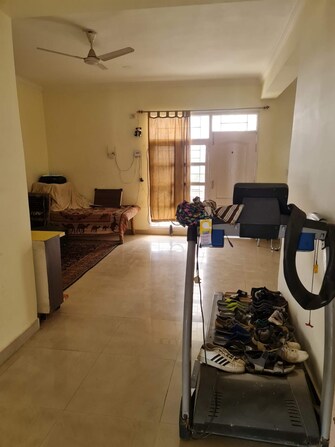 2 BHK Apartment For Rent in Goel Heights Faizabad Road Lucknow  8012391