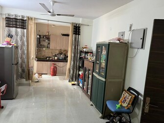 2 BHK Apartment For Rent in Shiv Sai Emerald Heights Sector 88 Faridabad  8012417