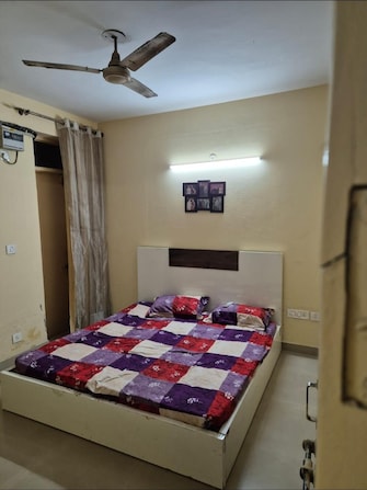 2 BHK Apartment For Rent in RAS Palm Residency Sector 76 Faridabad  8012435