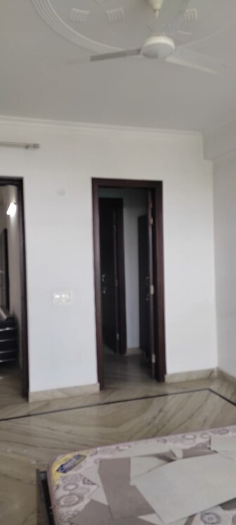 3 BHK Builder Floor For Rent in Unitech Arcadia South City 2 Gurgaon  8012498