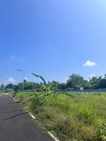  Plot For Sale in Pallipalayam