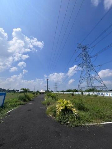 Plot Area in  Plot at Pallipalayam – for Sale