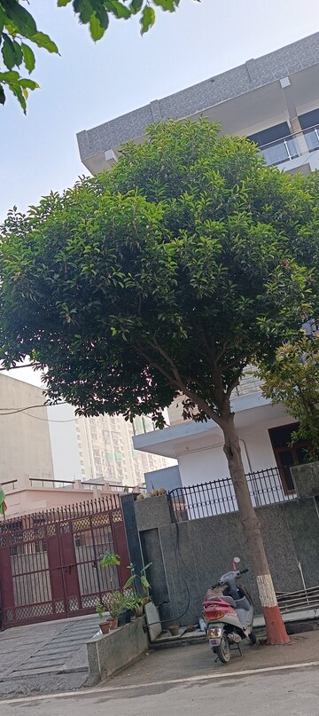 1 BHK Villa – Exterior View View at Sector 46 - for Rent