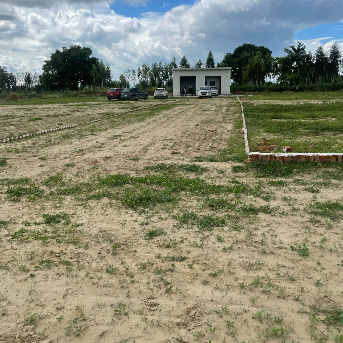 Plot For Sale in Sector 167