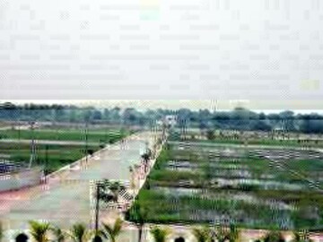 Plot For Sale in Mysore Road