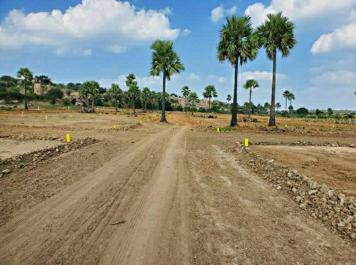 Plot For Sale in Apoorva zx