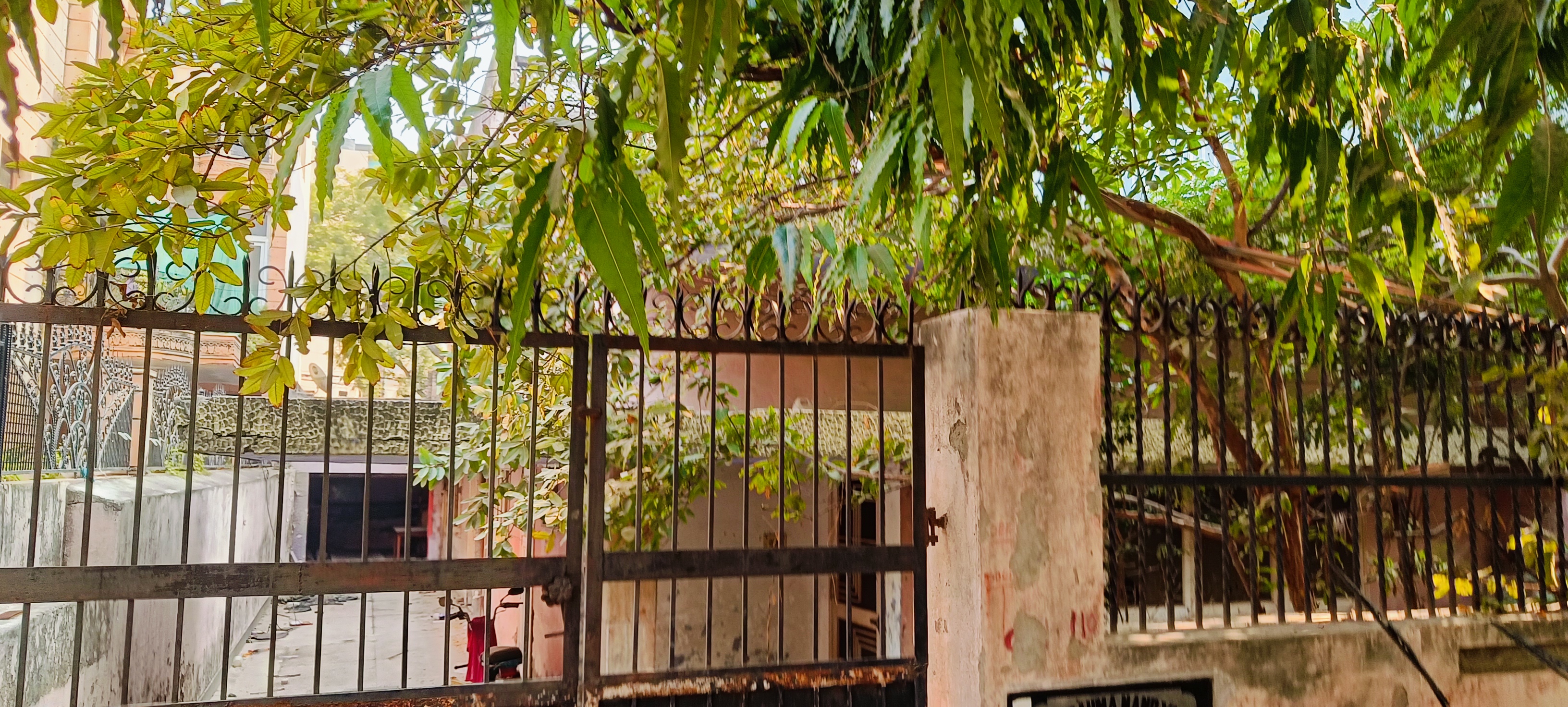 Plot For Sale in Sector 30