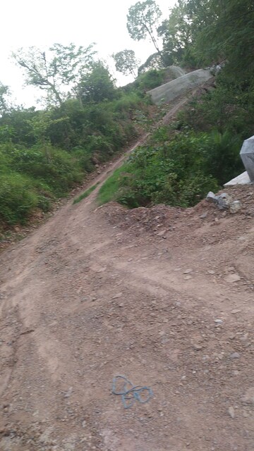 Plot Area in  Plot at Ramshehar – for Sale