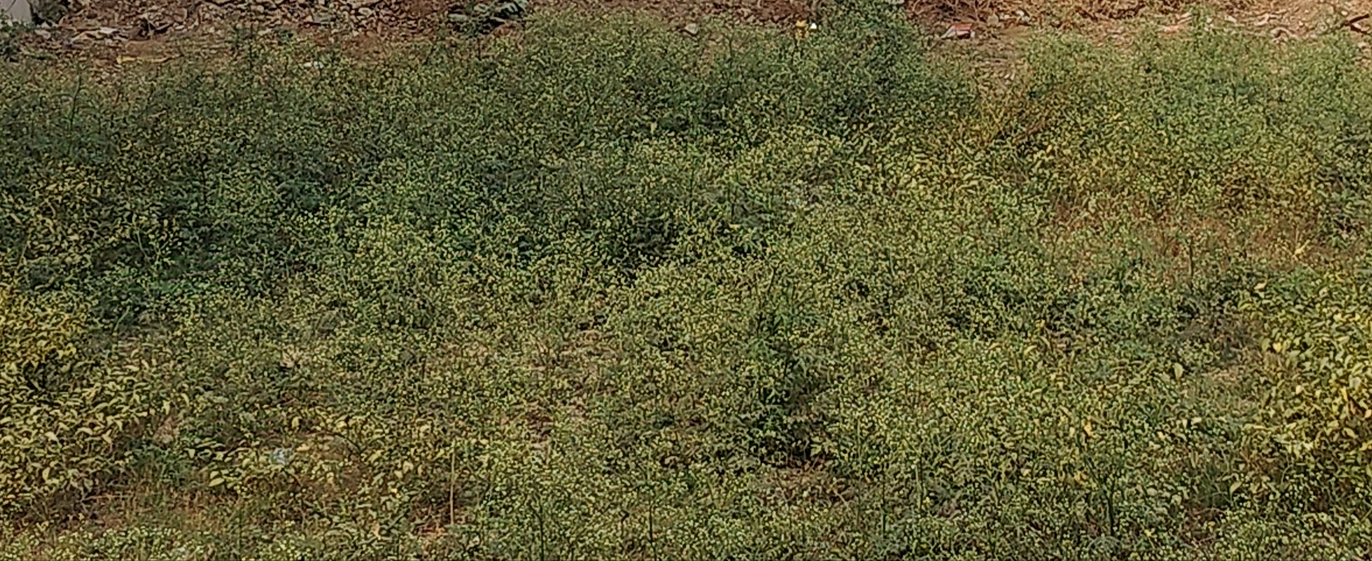 Plot For Sale in Sector 2