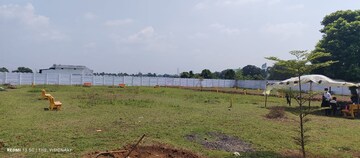 Plot Area in  Plot at Barela – for Sale