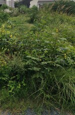 60 Sq.Yd. Plot in Sector 2