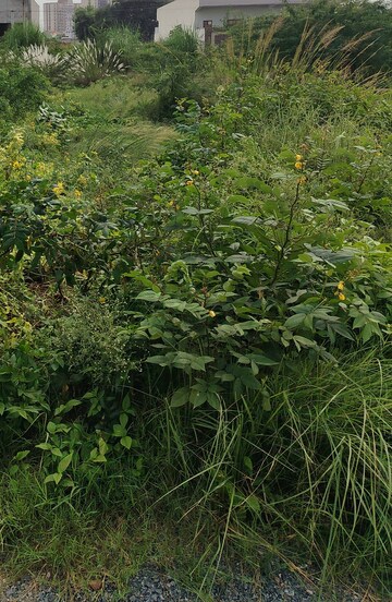  Plot For Sale in Sector 2