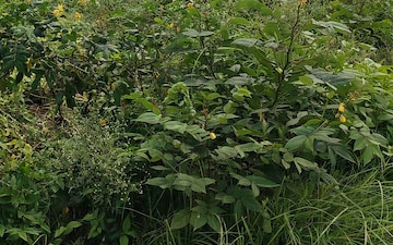 Plot For Sale in Sector 2