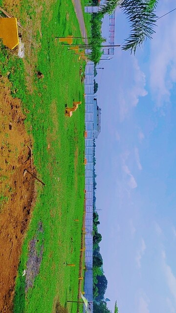  Plot – Exterior View View at Panagar - for Sale