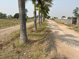 Plot For Resale in Bhatagaon Raipur  8013478