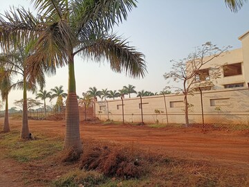  Plot – Exterior View View at Bhatagaon - for Sale