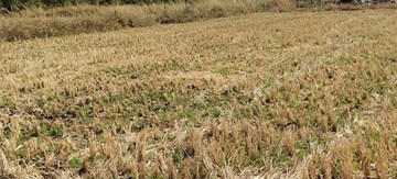  Plot For Sale in Igatpuri