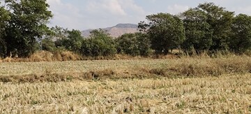 Plot Area in  Plot at Igatpuri – for Sale