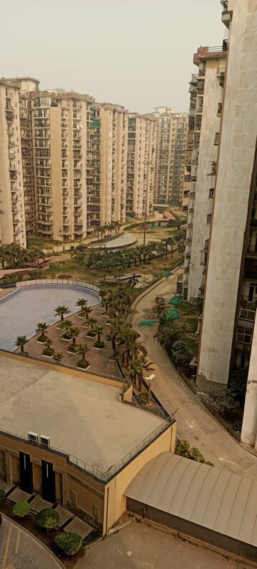 2 BHK Apartment For Rent in Amrapali Zodiac Sector 120 Noida  8013572