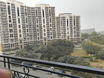 2 BHK Apartment For Rent in Pyramid Elite Sector 86 Gurgaon  8013678