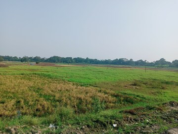 Commercial Land 50 Sq.Yd. For Resale in Ekbalpur Kolkata  8013746