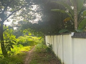  Plot – Exterior View View at Cherthala - for Sale