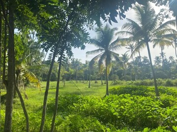  Plot – Exterior View View at Cherthala - for Sale