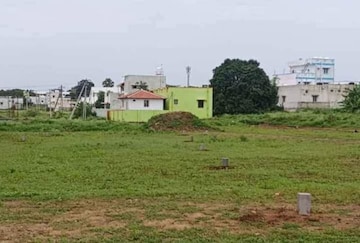 Plot For Resale in Anaikatti Coimbatore  8014047