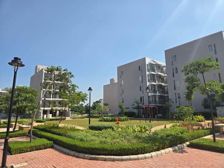 Exterior View, dlf-garden-city-independent-floors 3 Bedroom 1672 Sq.Ft. Builder Floor In Sector 92 Gurgaon 8014164