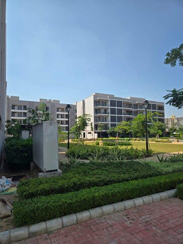 3 BHK Builder Floor For Resale in DLF Garden City Independent Floors Sector 92 Gurgaon  8014164