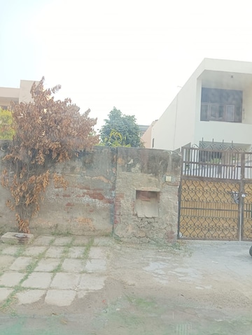 Plot For Resale in Sector 14 Faridabad  8014241