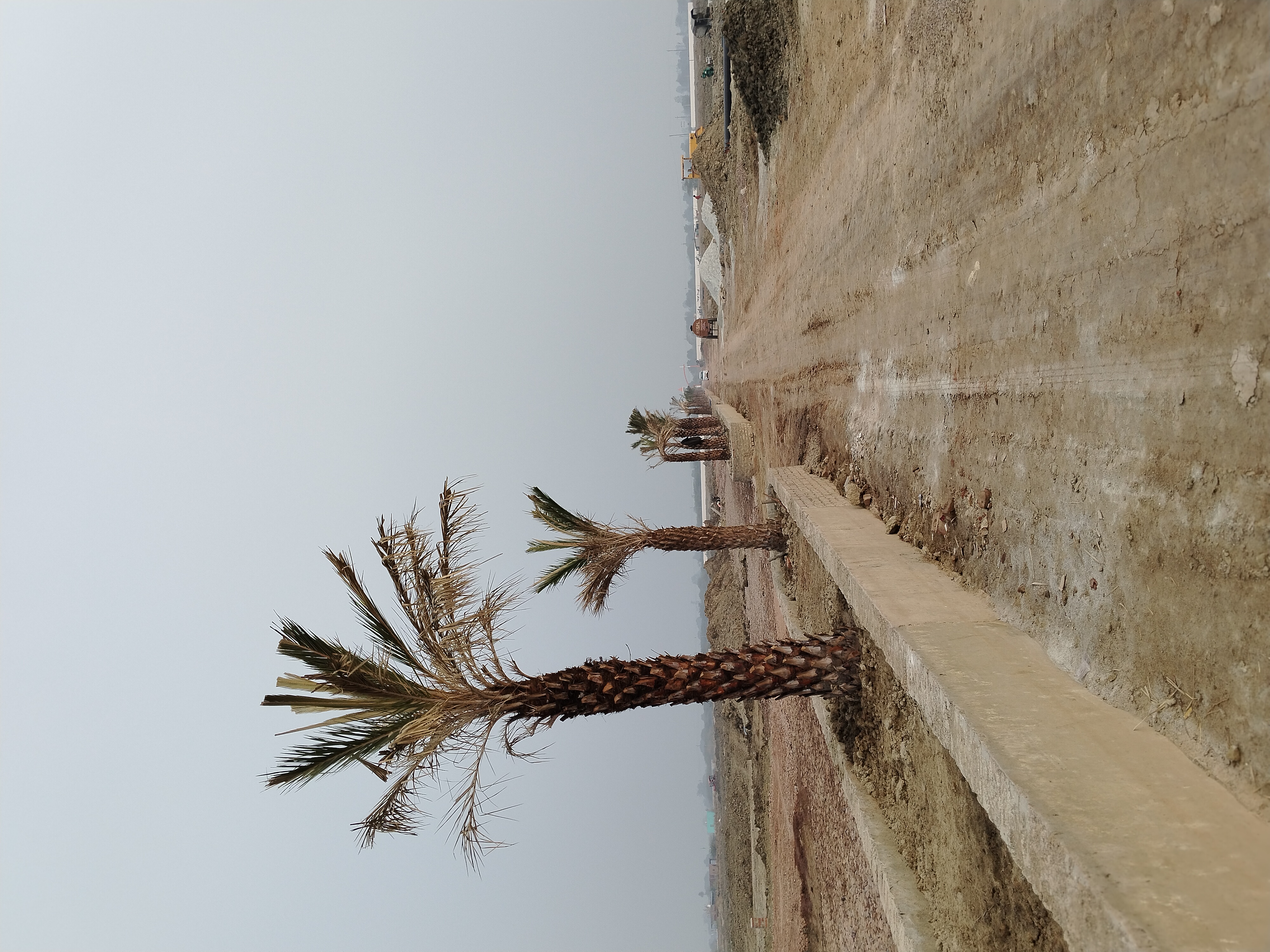 Plot For Sale in Shri Radha Rani Townshipe