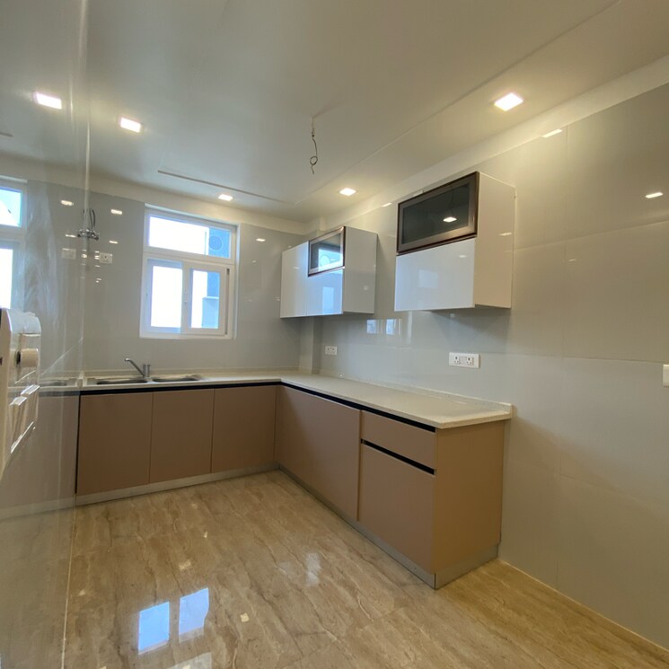 Kitchen, puri-kohinoor 3 Bedroom 150 Sq.Yd. Builder Floor In Tikawali Faridabad 8014332