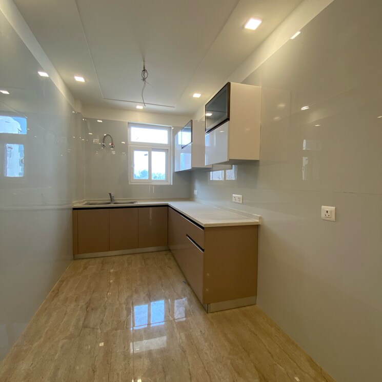 Kitchen, puri-kohinoor 3 Bedroom 150 Sq.Yd. Builder Floor In Tikawali Faridabad 8014414