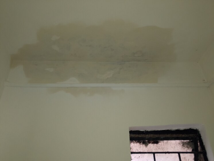 undefined, uma-apartment 1 Bedroom 550 Sq.Ft. Builder Floor In Vadgaon Budruk Pune 8014838