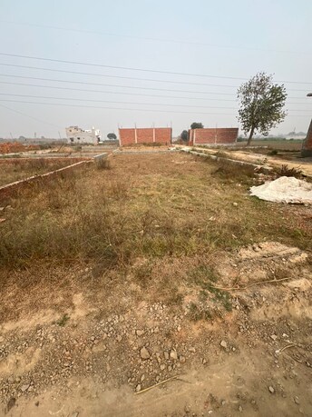 Plot For Resale in Gomti Nagar Lucknow  8014801