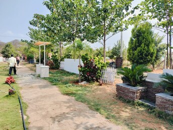 Plot For Resale in Gomti Nagar Lucknow  8014874