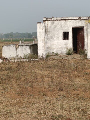  Plot – Exterior View View at Omega Ii Greater Noida - for Sale
