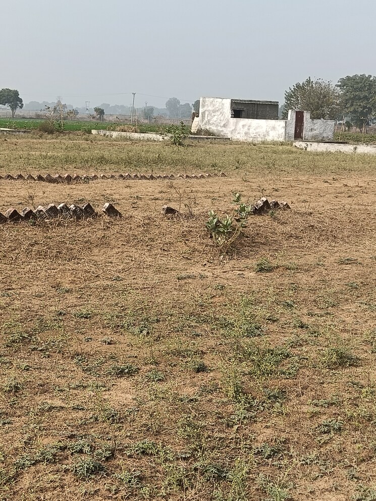 undefined, omega ii greater noida  80 Sq.Yd. Plot In Omega Ii Greater Noida Greater Noida 8015371