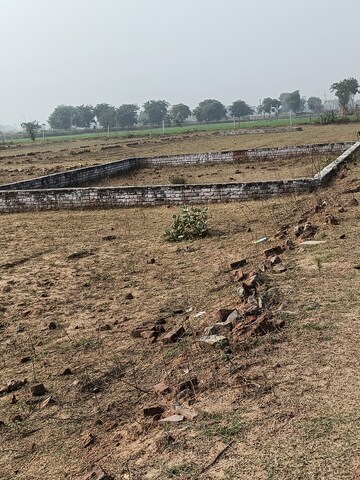 Plot Area in  Plot at Omega Ii Greater Noida – for Sale