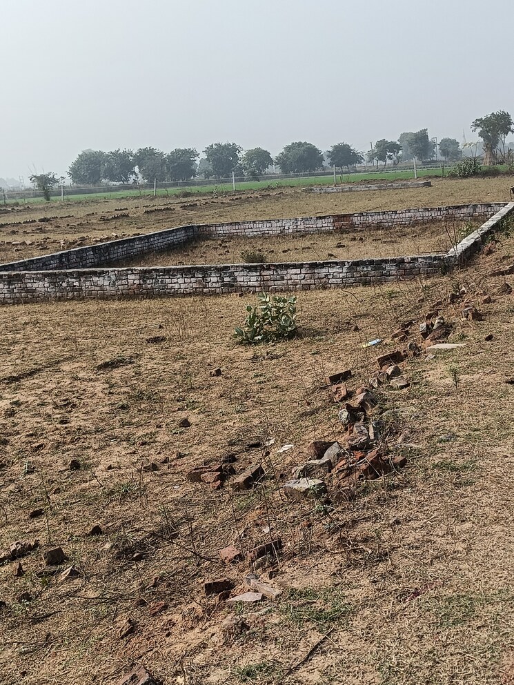 undefined, omega ii greater noida  80 Sq.Yd. Plot In Omega Ii Greater Noida Greater Noida 8015371